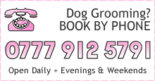 call 0161 439 8010 to book your dog in for grooming
